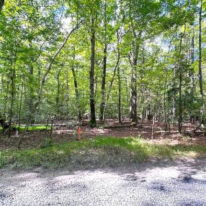 Photo #8 of Off Doggett Lane, Carrollton, VA 17.4 acres