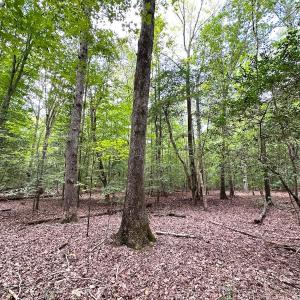 Photo #9 of Off Doggett Lane, Carrollton, VA 21.0 acres