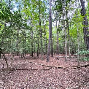 Photo #10 of Off Doggett Lane, Carrollton, VA 21.0 acres
