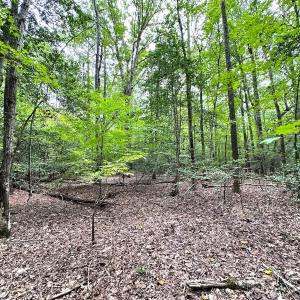 Photo #11 of Off Doggett Lane, Carrollton, VA 21.0 acres