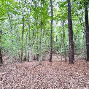 Photo #12 of Off Doggett Lane, Carrollton, VA 21.0 acres