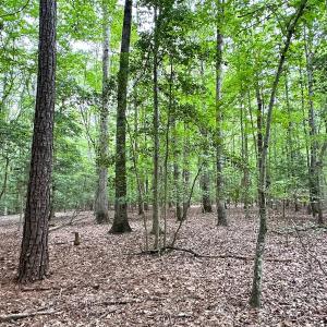 Photo #14 of Off Doggett Lane, Carrollton, VA 21.0 acres