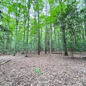 Photo #17 of Off Doggett Lane, Carrollton, VA 21.0 acres