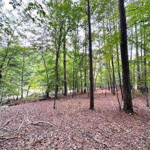 Photo #18 of Off Doggett Lane, Carrollton, VA 21.0 acres