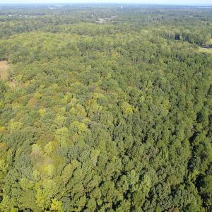 Photo #1 of Off Doggett Lane, Carrollton, VA 21.0 acres
