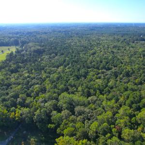 Photo #2 of Off Doggett Lane, Carrollton, VA 21.0 acres