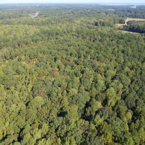 Photo #4 of Off Doggett Lane, Carrollton, VA 21.0 acres