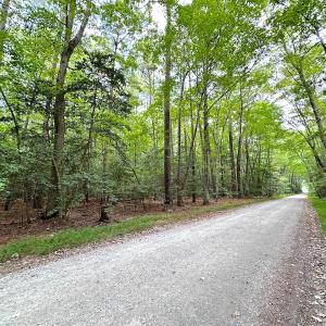 Photo #5 of Off Doggett Lane, Carrollton, VA 21.0 acres