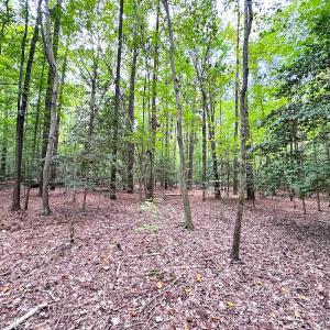 Photo #7 of Off Doggett Lane, Carrollton, VA 21.0 acres