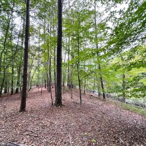Photo #20 of Off Doggett Lane, Carrollton, VA 21.0 acres