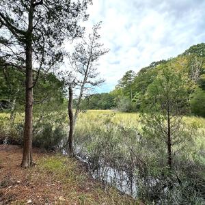 Photo #21 of Off Doggett Lane, Carrollton, VA 21.0 acres
