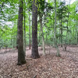 Photo #22 of Off Doggett Lane, Carrollton, VA 21.0 acres