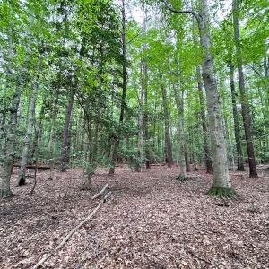 Photo #23 of Off Doggett Lane, Carrollton, VA 21.0 acres