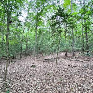 Photo #26 of Off Doggett Lane, Carrollton, VA 21.0 acres