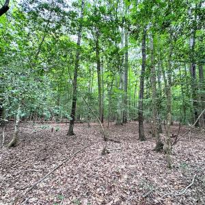 Photo #28 of Off Doggett Lane, Carrollton, VA 21.0 acres