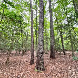 Photo #29 of Off Doggett Lane, Carrollton, VA 21.0 acres