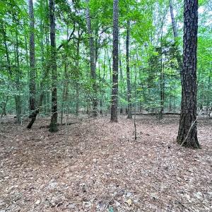 Photo #30 of Off Doggett Lane, Carrollton, VA 21.0 acres