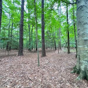 Photo #31 of Off Doggett Lane, Carrollton, VA 21.0 acres
