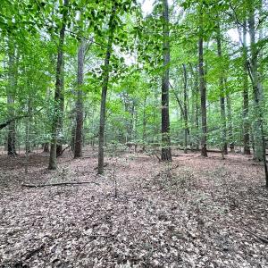 Photo #33 of Off Doggett Lane, Carrollton, VA 21.0 acres