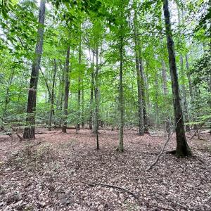 Photo #34 of Off Doggett Lane, Carrollton, VA 21.0 acres