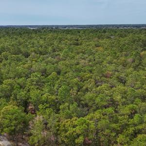Photo #3 of 2921 N Magellan Blvd SE, Bolivia, NC 0.8 acres