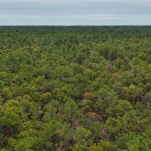 Photo #4 of 2921 N Magellan Blvd SE, Bolivia, NC 0.8 acres