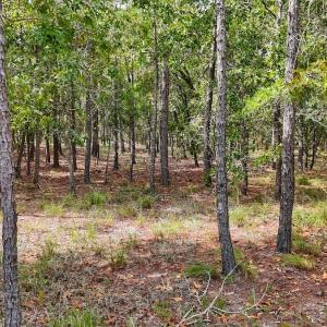 Photo #34 of 2921 N Magellan Blvd SE, Bolivia, NC 0.8 acres