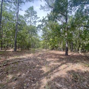 Photo #38 of 2921 N Magellan Blvd SE, Bolivia, NC 0.8 acres