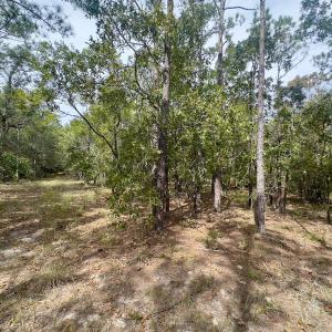 Photo #39 of 2921 N Magellan Blvd SE, Bolivia, NC 0.8 acres