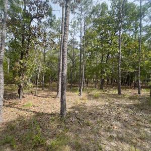 Photo #40 of 2921 N Magellan Blvd SE, Bolivia, NC 0.8 acres