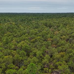 Photo #5 of 2921 N Magellan Blvd SE, Bolivia, NC 0.8 acres