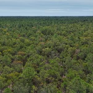 Photo #6 of 2921 N Magellan Blvd SE, Bolivia, NC 0.8 acres