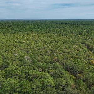 Photo #9 of 2921 N Magellan Blvd SE, Bolivia, NC 0.8 acres