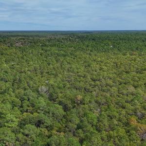 Photo #10 of 2921 N Magellan Blvd SE, Bolivia, NC 0.8 acres