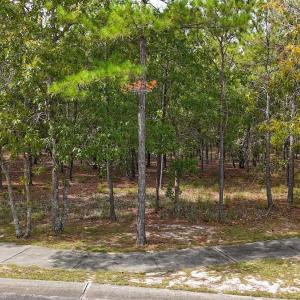 Photo #41 of 2921 N Magellan Blvd SE, Bolivia, NC 0.8 acres