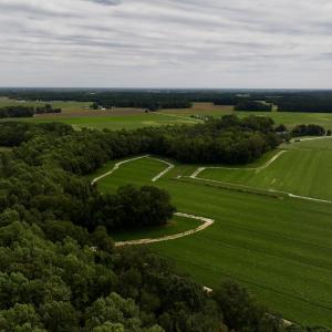 Photo #11 of SOLD property in Off Faro Rd. , Fremont, NC 37.7 acres