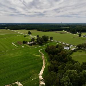 Photo #12 of SOLD property in Off Faro Rd. , Fremont, NC 37.7 acres