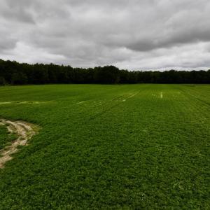 Photo #14 of SOLD property in Off Faro Rd. , Fremont, NC 37.7 acres