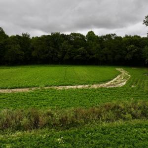 Photo #17 of SOLD property in Off Faro Rd. , Fremont, NC 37.7 acres