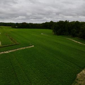 Photo #18 of SOLD property in Off Faro Rd. , Fremont, NC 37.7 acres