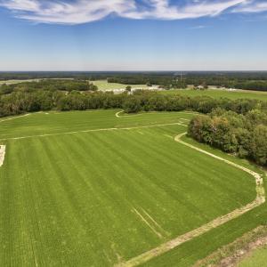 Photo #6 of SOLD property in Off Faro Rd. , Fremont, NC 37.7 acres