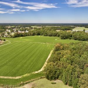 Photo #7 of SOLD property in Off Faro Rd. , Fremont, NC 37.7 acres