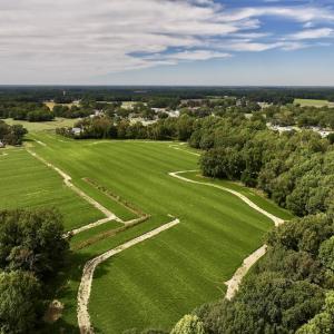 Photo #9 of SOLD property in Off Faro Rd. , Fremont, NC 37.7 acres