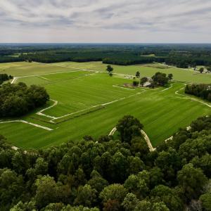 Photo #10 of SOLD property in Off Faro Rd. , Fremont, NC 37.7 acres