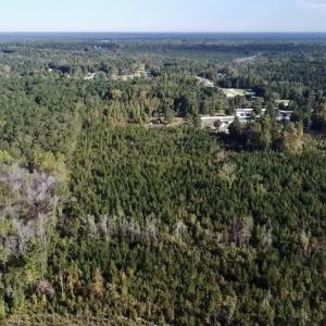 Photo #10 of Off JEROME LN, Linden, NC 28.0 acres