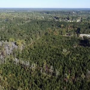 Photo #11 of Off JEROME LN, Linden, NC 28.0 acres