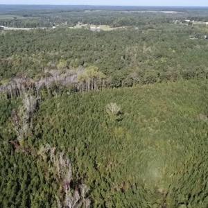 Photo #12 of Off JEROME LN, Linden, NC 28.0 acres