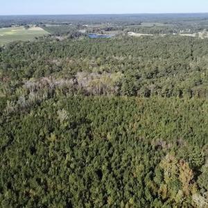 Photo #13 of Off JEROME LN, Linden, NC 28.0 acres