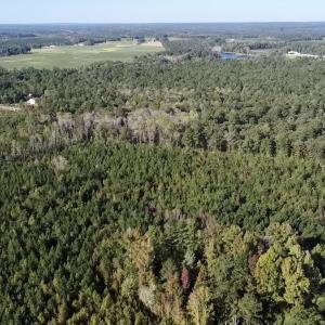 Photo #14 of Off JEROME LN, Linden, NC 28.0 acres