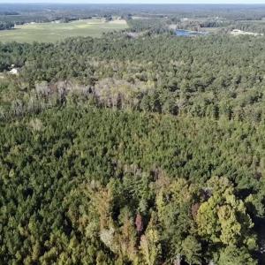 Photo #15 of Off JEROME LN, Linden, NC 28.0 acres